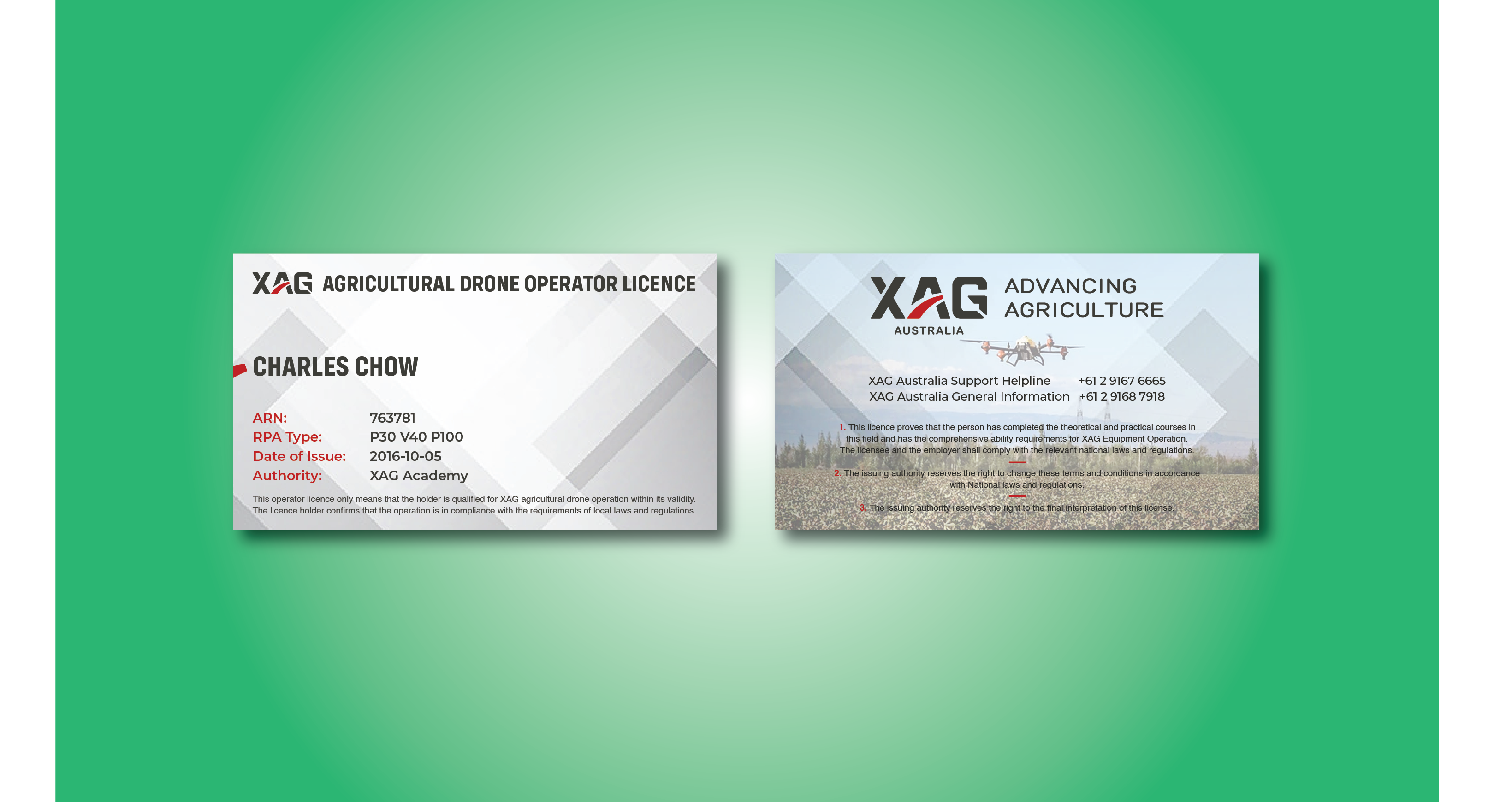 Business Card Design by Verified artistry (Design garden) for this project | Design #29884006
