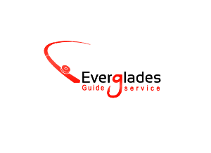 Logo Design by Umar