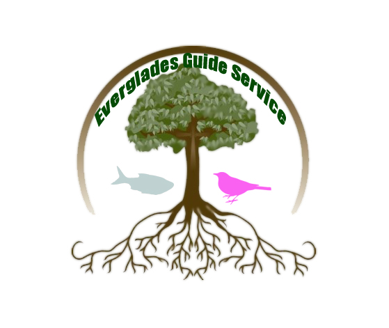 Design de Logo par Poroxa pour Everglades guide Service | Design #3110924