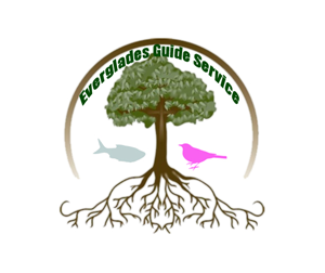 Logo Design by Poroxa