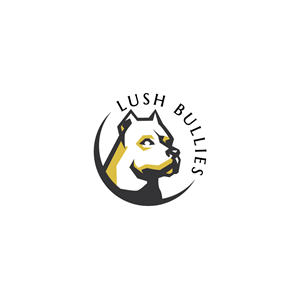 Logo Design by Jerwin Intac