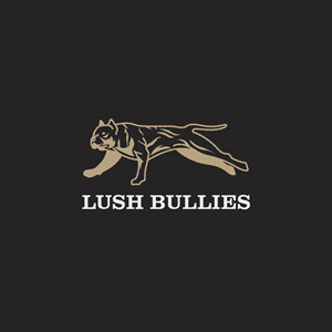 Logo Design by Onse Officials for this project | Design: #30187779