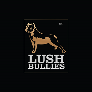 Logo Design by Onse Officials for this project | Design #30190216