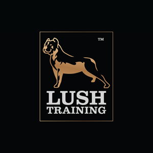 Logo Design by Onse Officials for this project | Design: #30200442