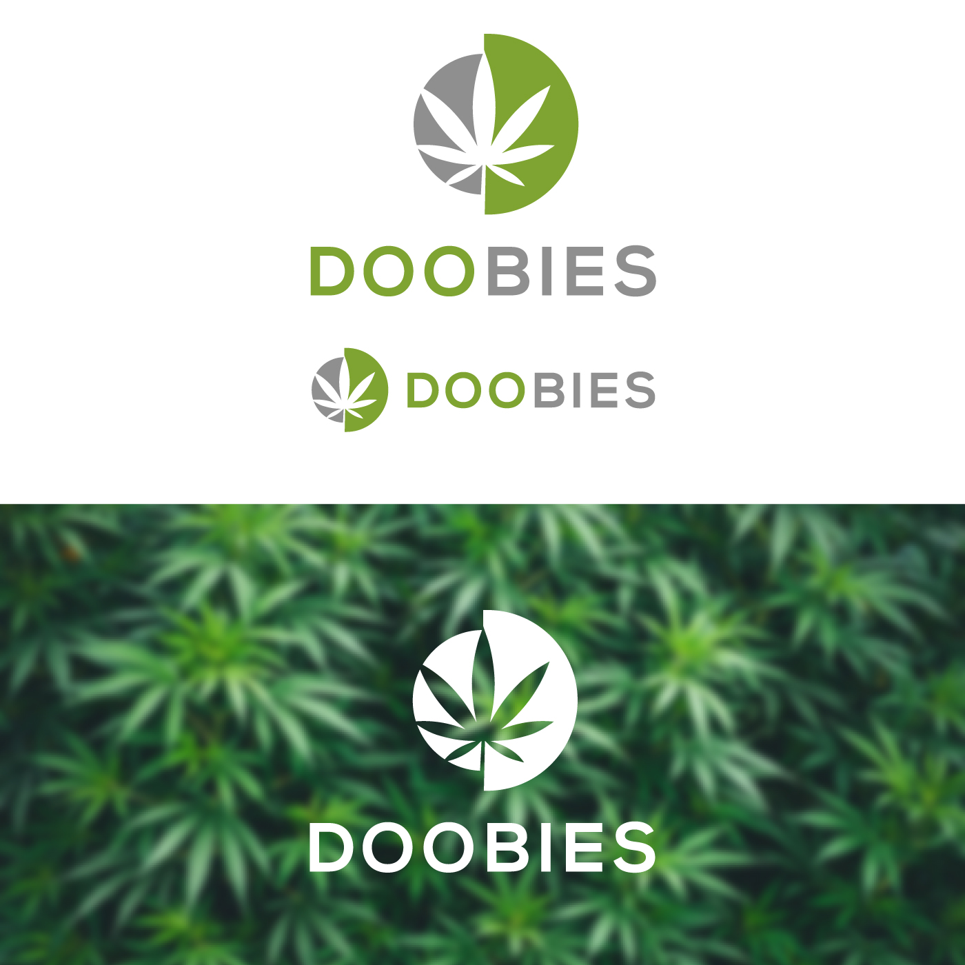 Logo Design by sangeloenriquez for this project | Design #29812754