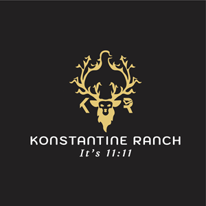 Logo Design by Jhannel55 for this project | Design: #29890017