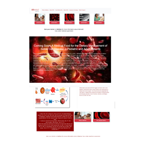 Web Design by Rudistudio