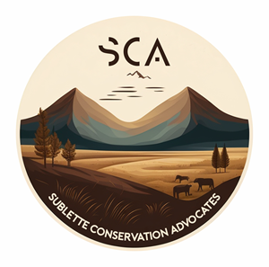 Logo Design by lookedaeng