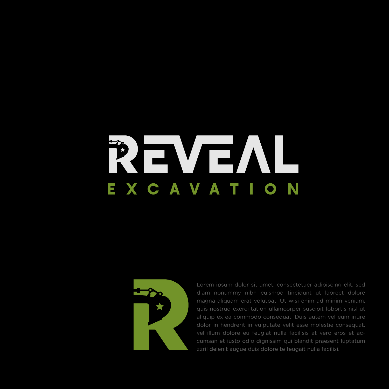 Logo Design by Abdul 20 for this project | Design #29818598