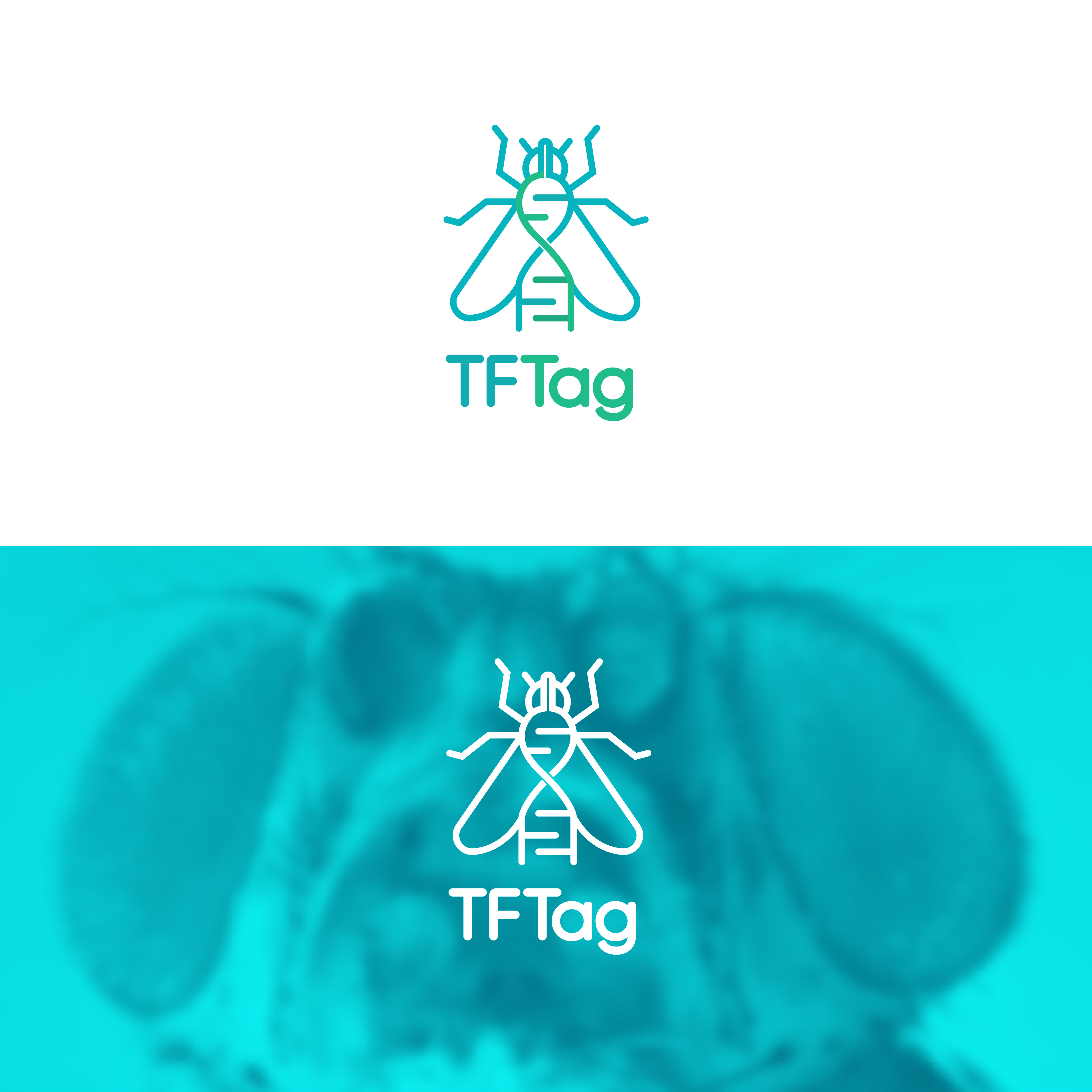 Logo Design by Jenars for this project | Design #29856860