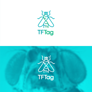Logo Design by Jenars