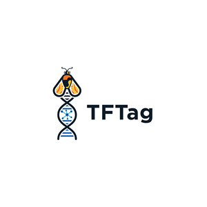 Logo Design by onydesign1