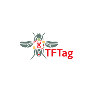 Logo Design by brand maker for this project | Design: #29819881