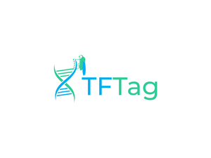 Logo Design by BNdesigner for this project | Design: #29840194