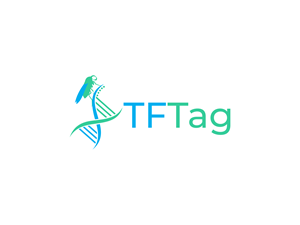 Logo Design by BNdesigner for this project | Design: #29840196