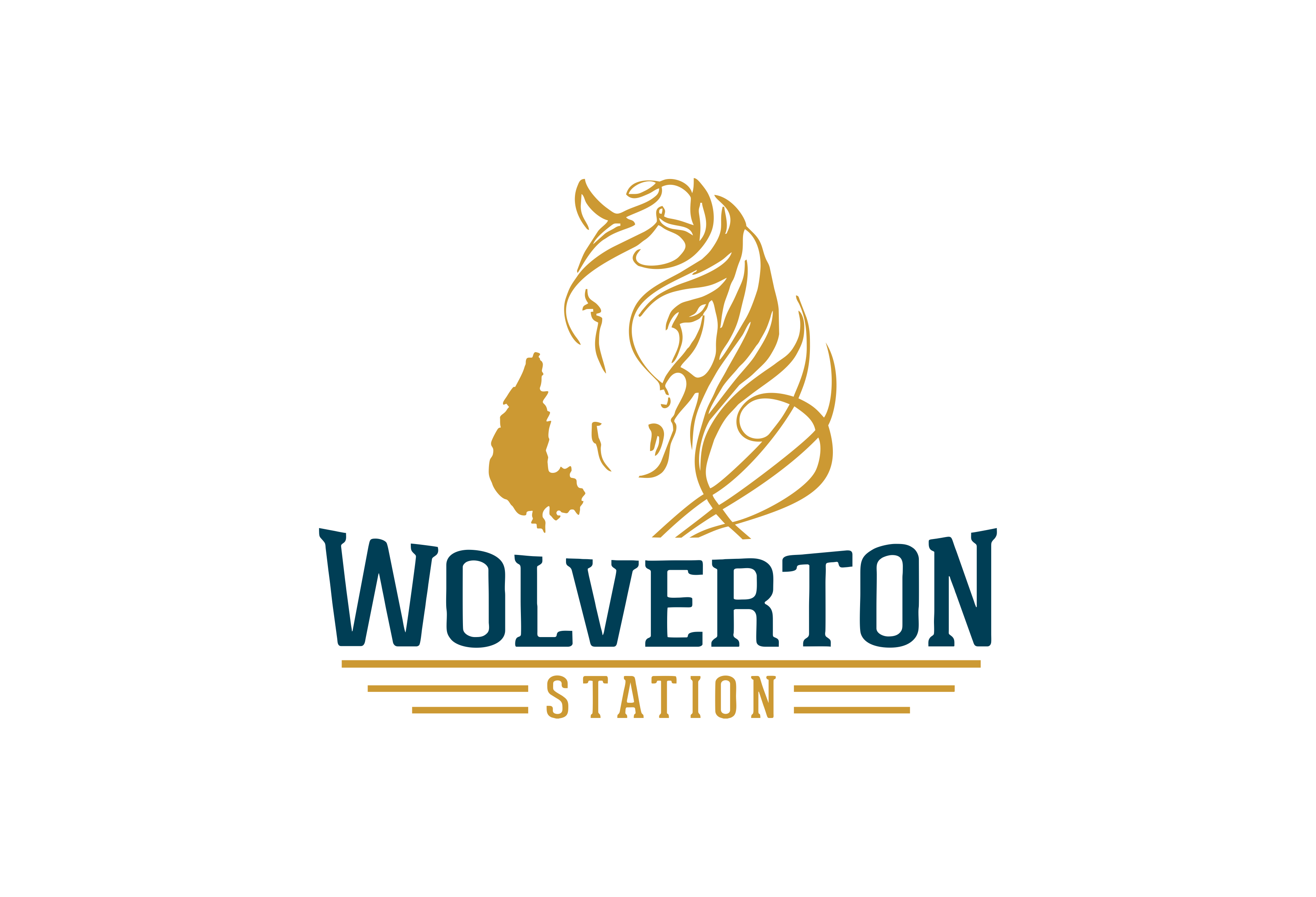 Logo-Design von Pak We Designs für Wolverton School Of Excellence | Design #29830037