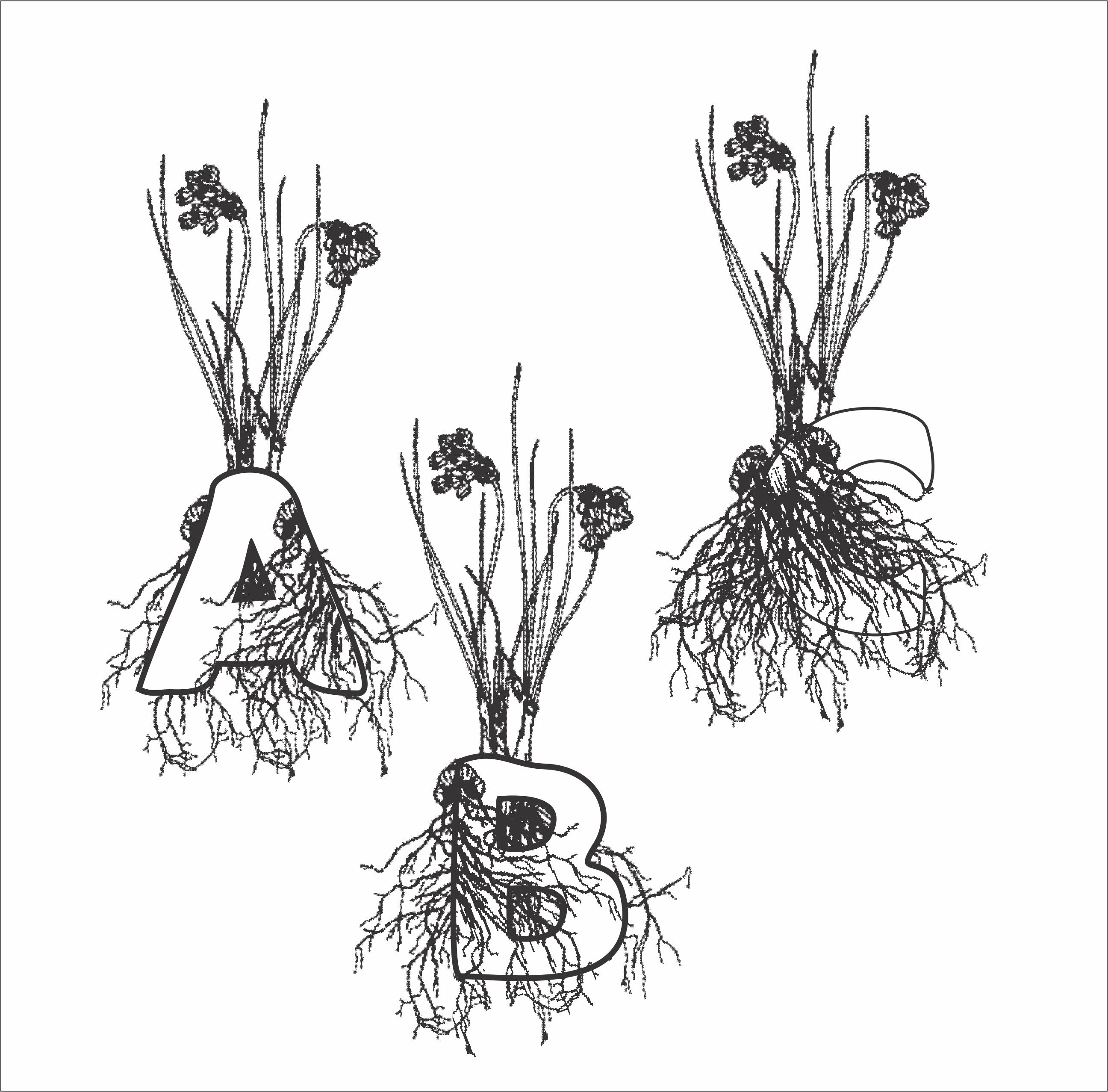 Diseño de Tatuaje por yadavsushil para este proyecto | Diseño #29908388