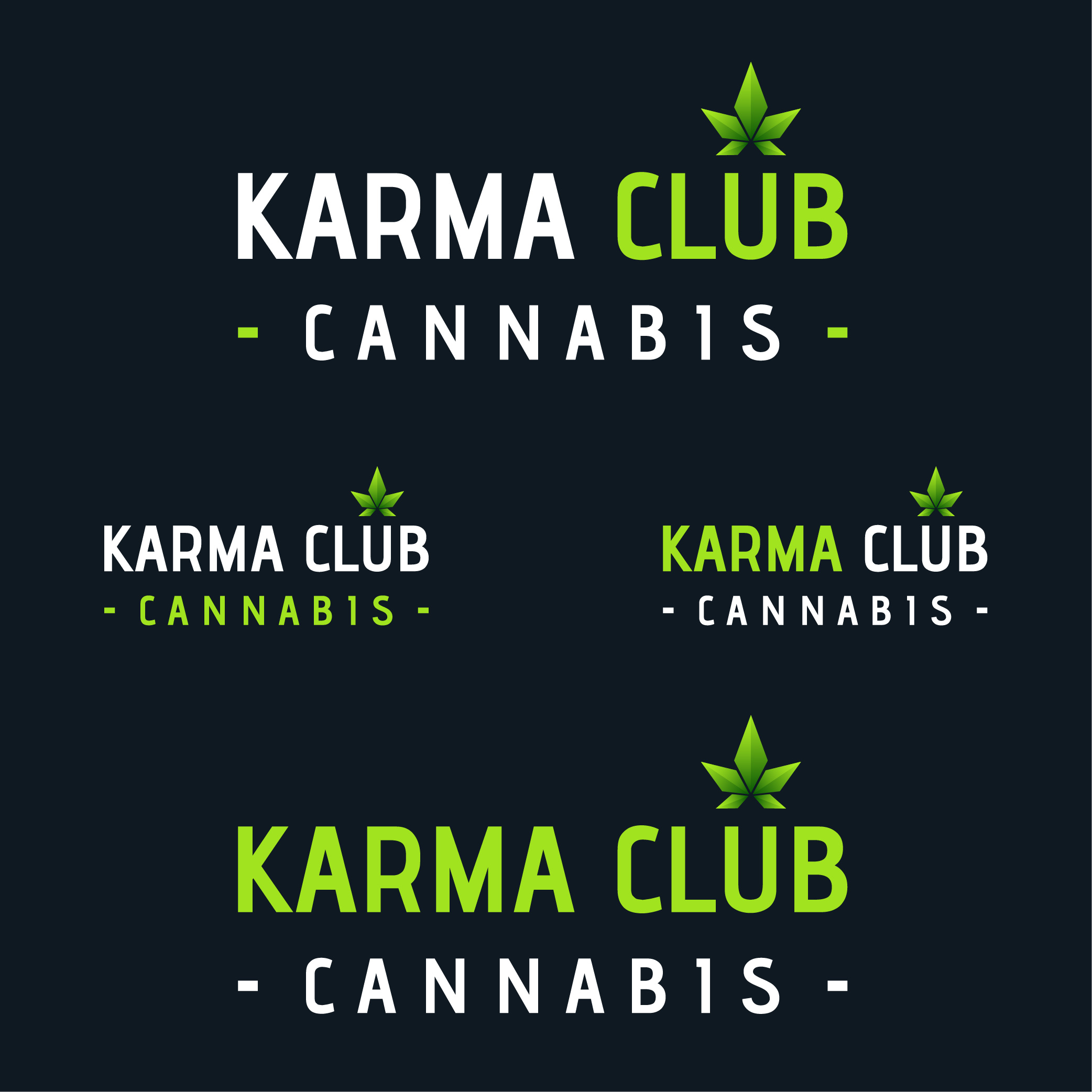 Logo Design by Shey93 for this project | Design #29826221