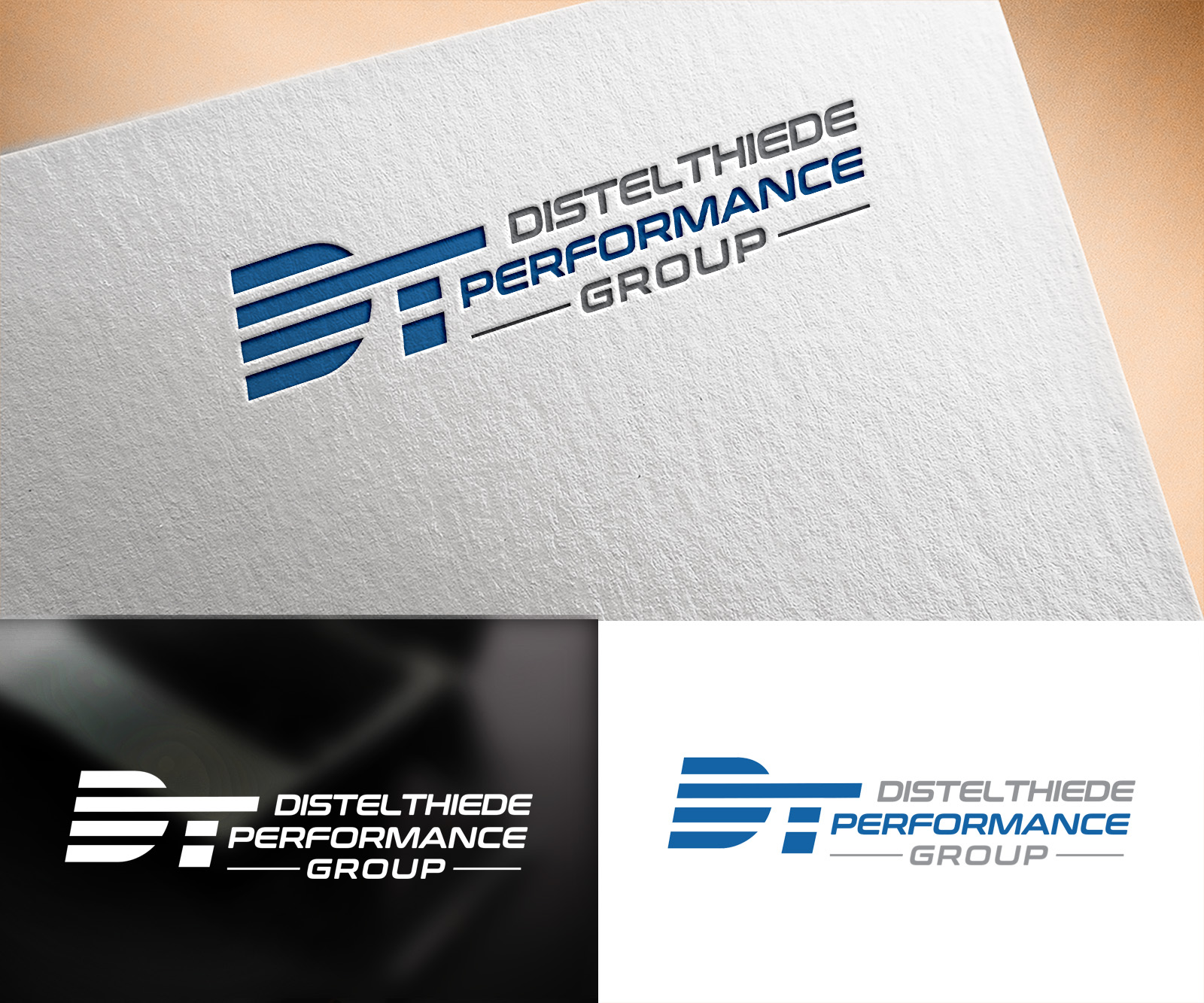 Logo Design by Vishak vasu for Distel Thiede Performance Group LLC | Design #29843922