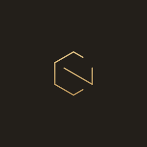 Logo Design by zetz