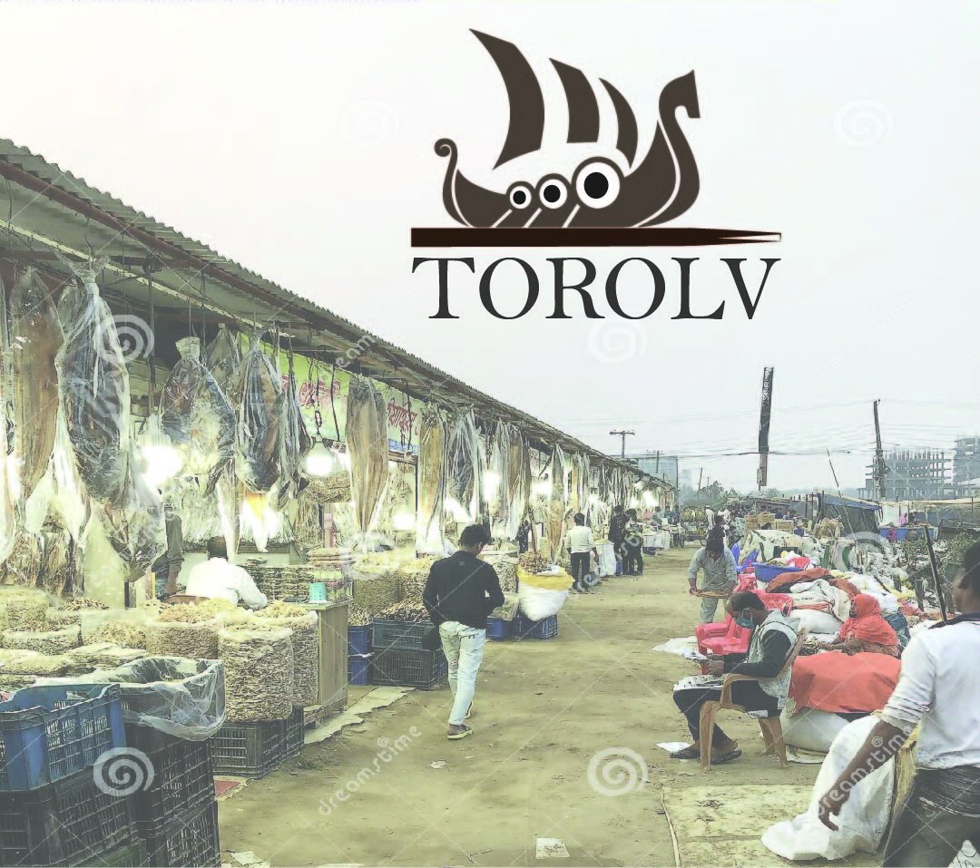 Logo Design by Razikul Rasel for Easyfish AS | Design #29832933