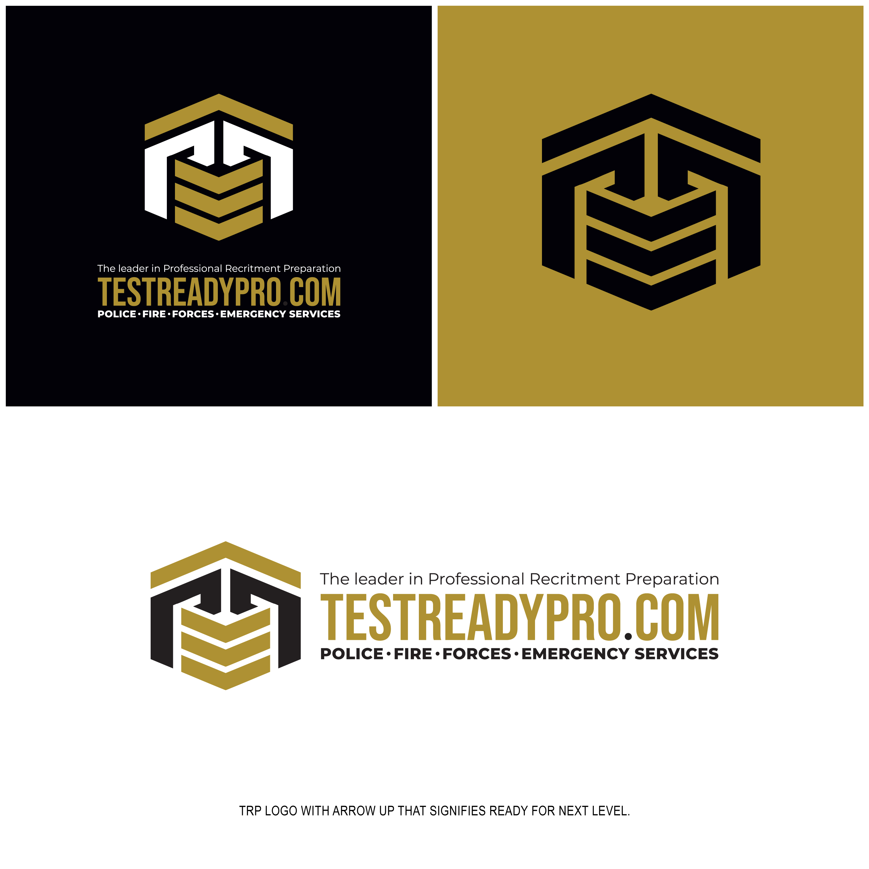 Logo Design by ICKE for TestReadyPro.com | Design #29875344