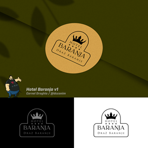Logo Design by dccanim