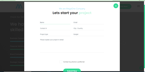 Web Design by i.zagaouch for Noah Lutz Online Marketing | Design: #29882018