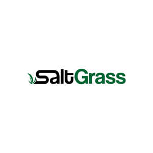 Logo Design by kngdsn.