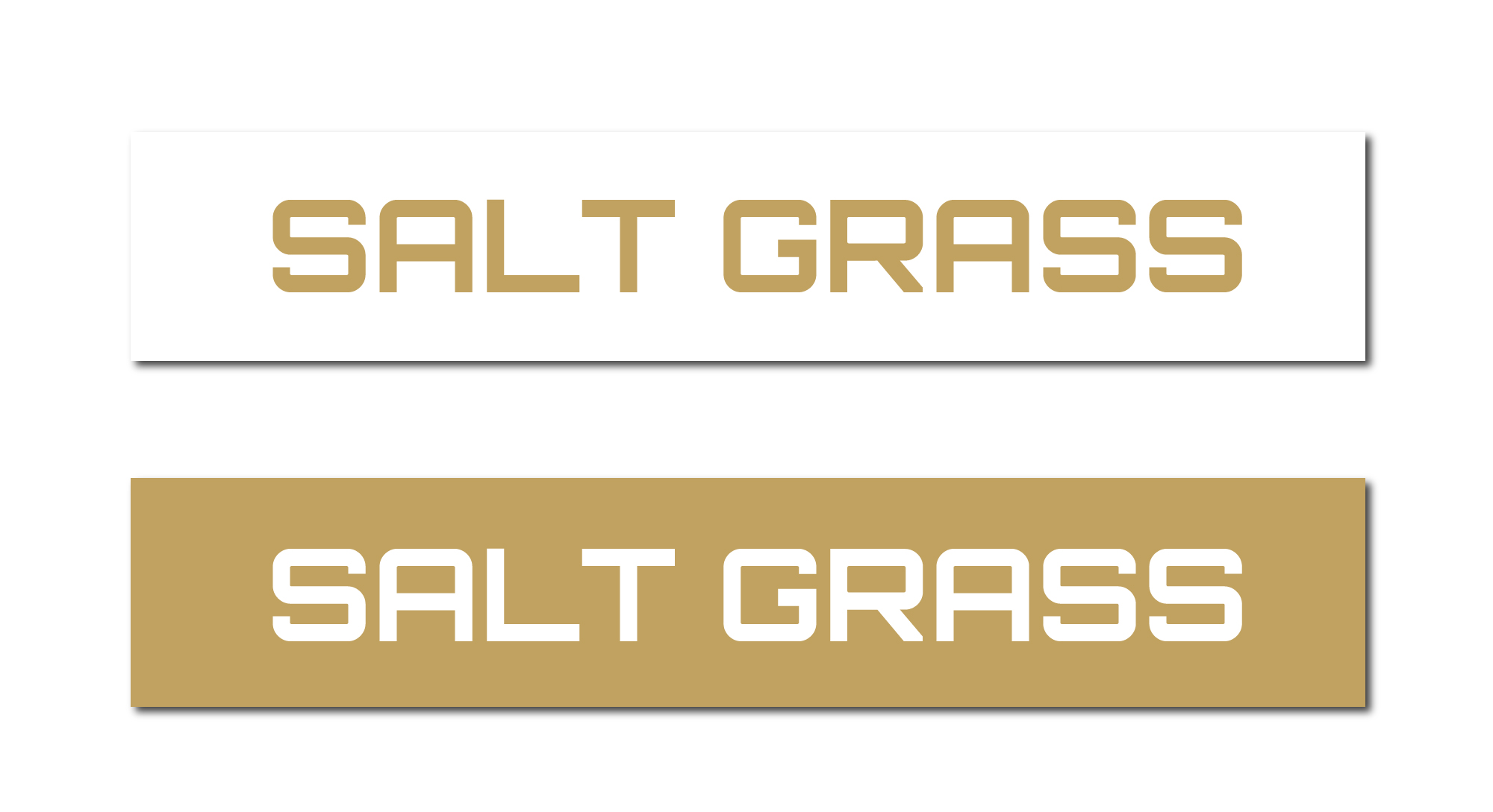 Logo Design by Paras Bali for this project | Design #29884242