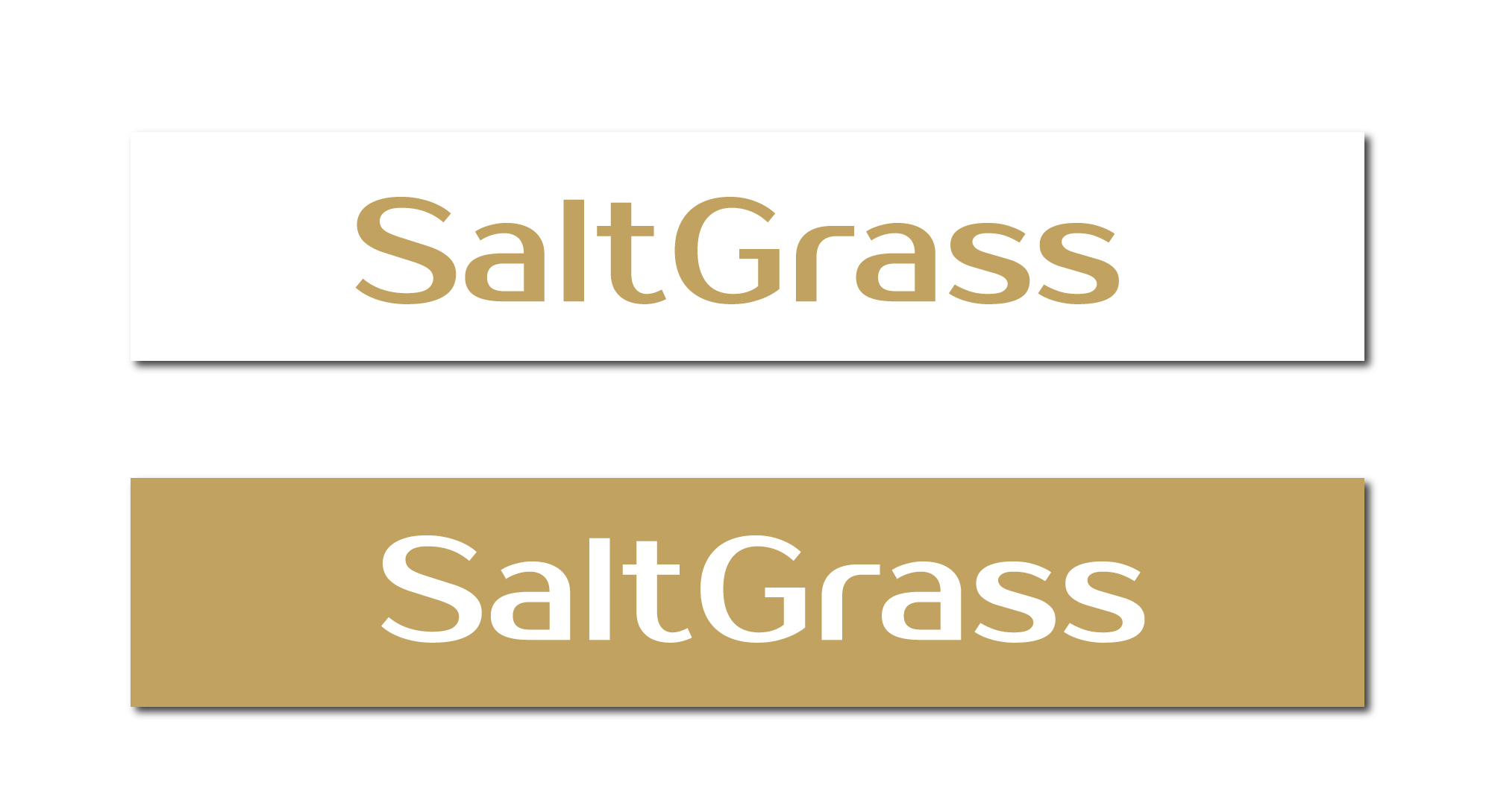 Logo Design by Paras Bali for this project | Design #29884276