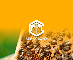 Logo Design by rastf2day for this project | Design: #29863920