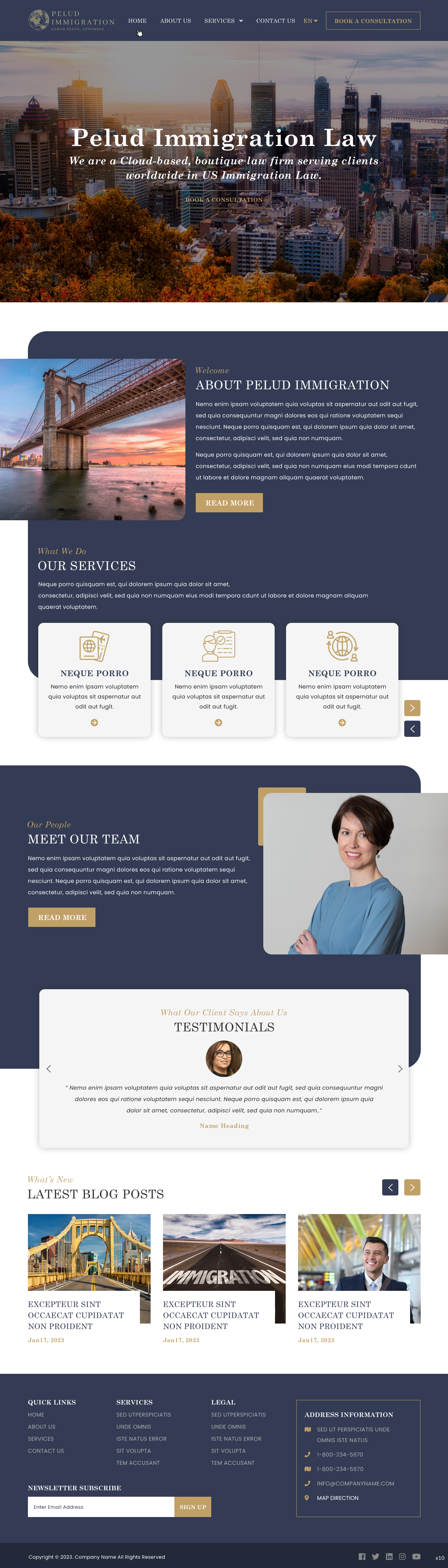Wix Design by pb for Pelud Immigration | Design #29846817