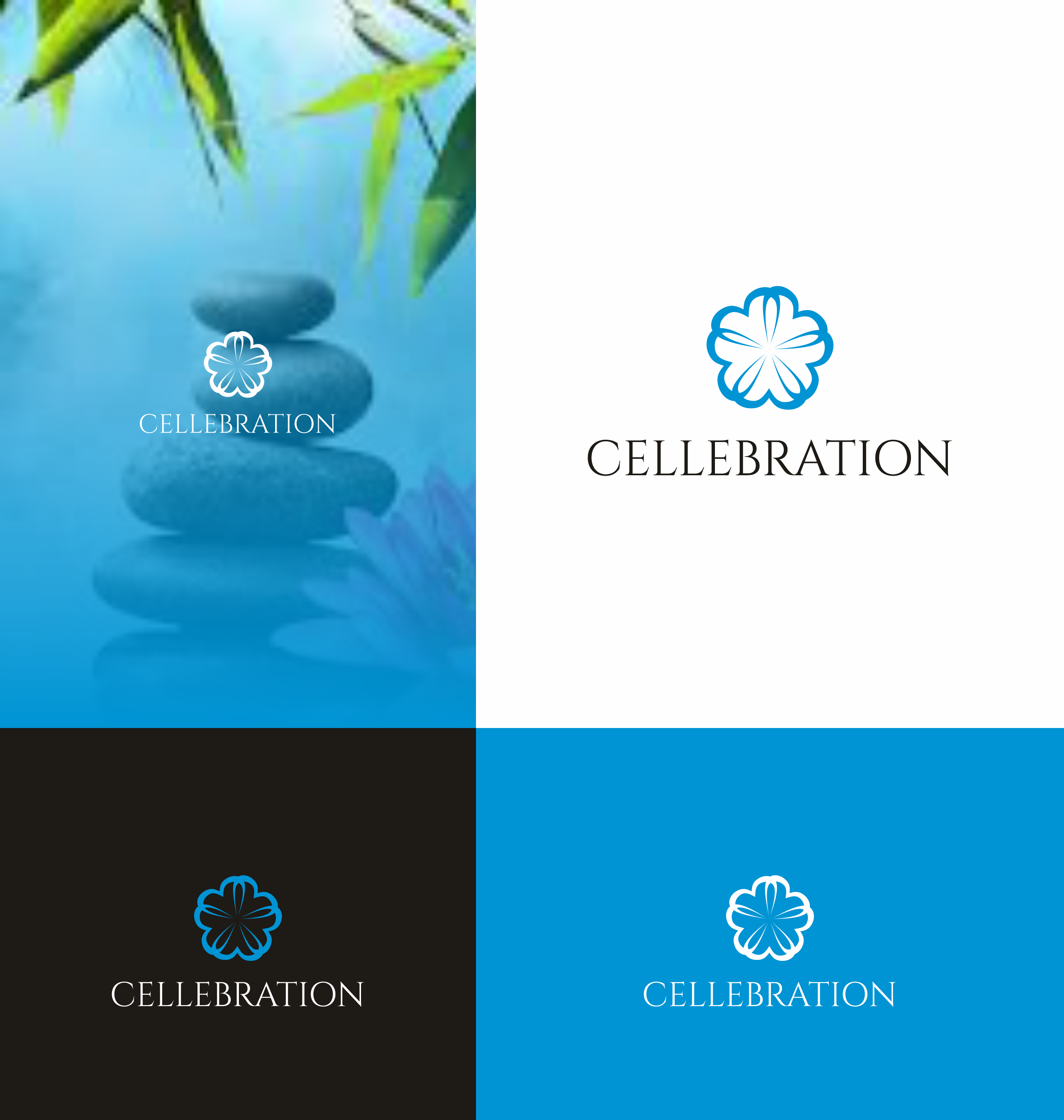 Logo Design by saesean for LTDNC | Design #29850041