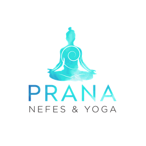 Logo Design by Sergio Coelho for this project | Design: #29861724