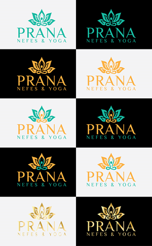 Logo Design by Rasu raj for this project | Design: #29866511