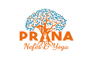 Logo Design by estefano3000 for this project | Design: #29861988