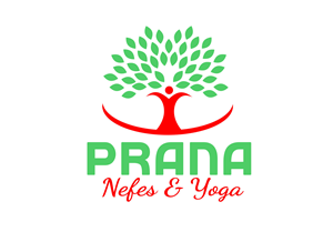 Logo Design by estefano3000 for this project | Design #29871673