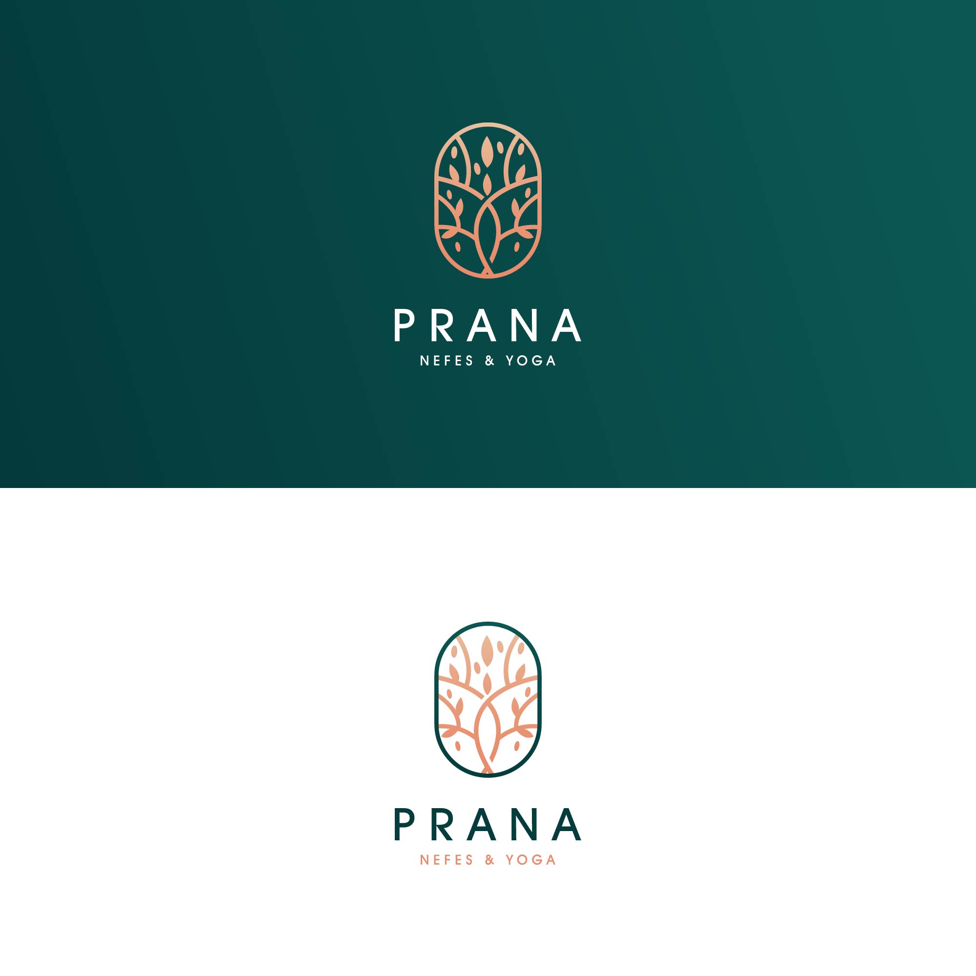 Logo Design by kaushal 05 for this project | Design #29854431