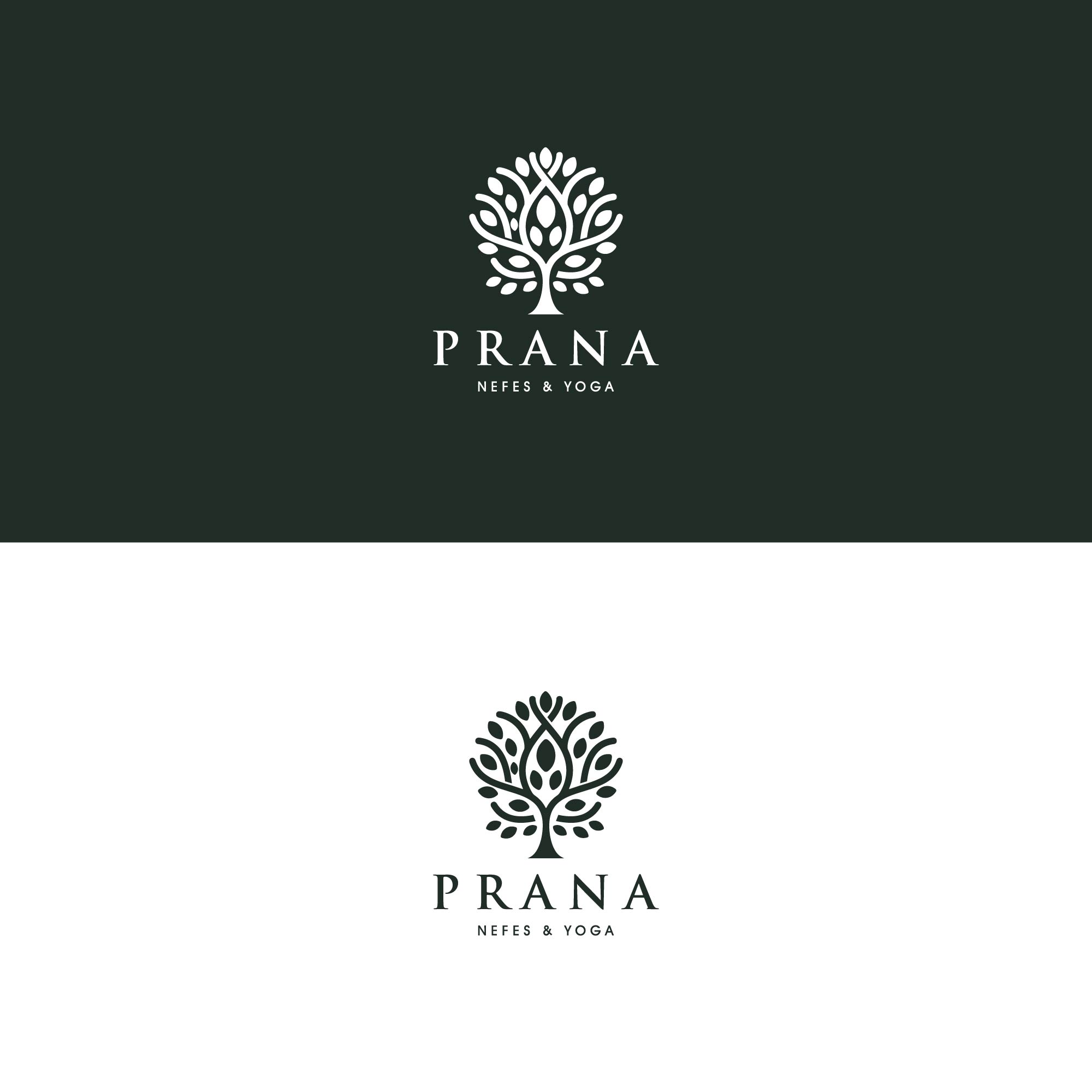 Logo Design by kaushal 05 for this project | Design #29864493