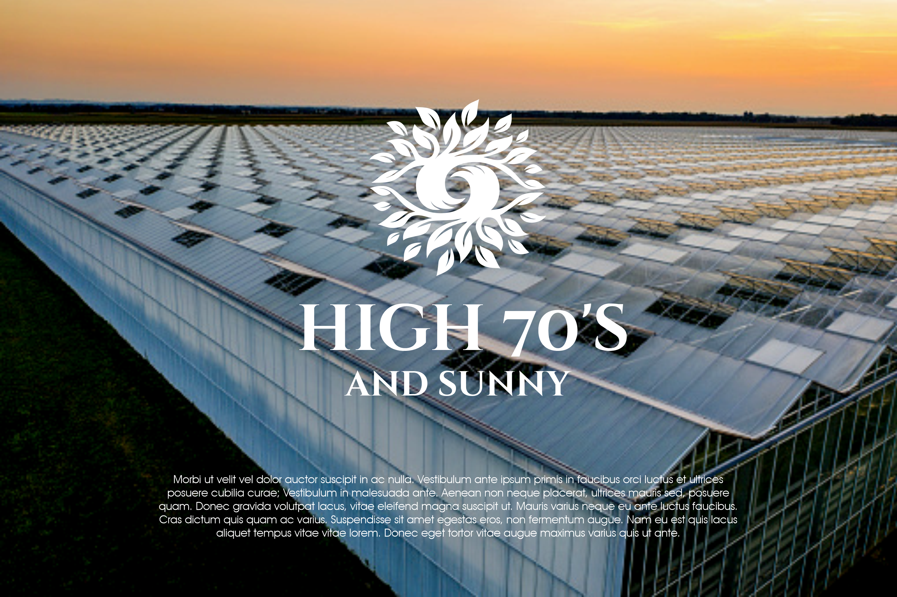 Logo Design by Pak We Designs for this project | Design #29864099