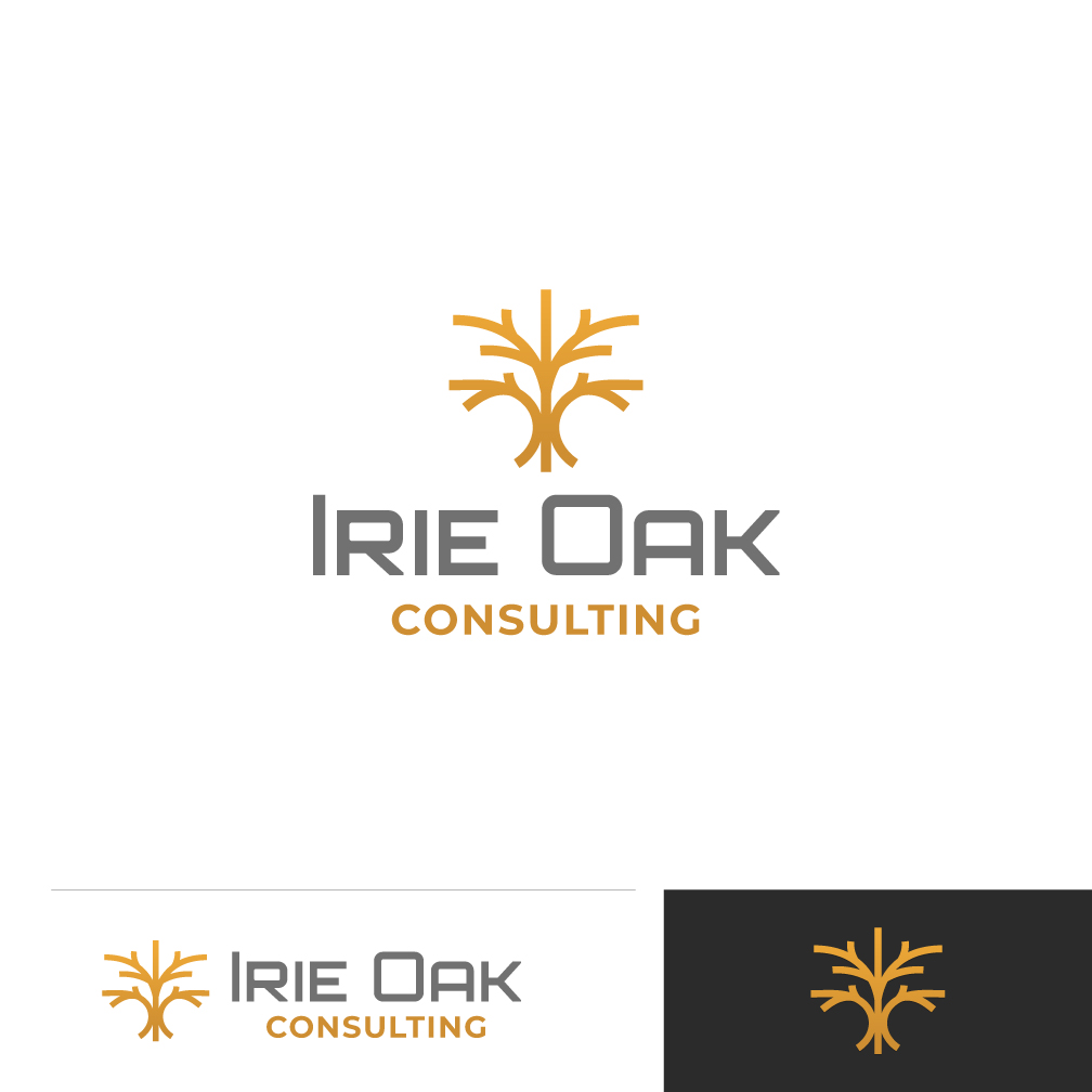 Logo Design by Franabanana for this project | Design #29872018