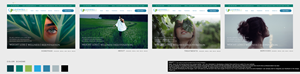 Web Design by AnninWonderland for this project | Design: #29894786