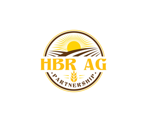 Logo Design by Ansh Design for this project | Design: #29866232