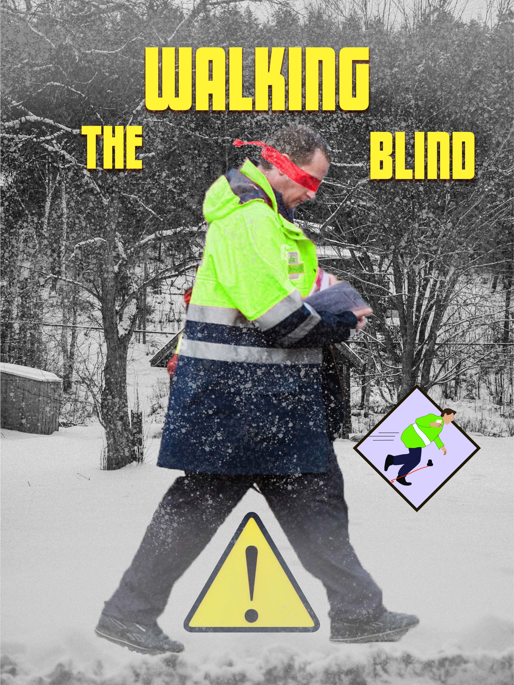 Grafik-Design von rmak für dieses Projekt | Design #29905012