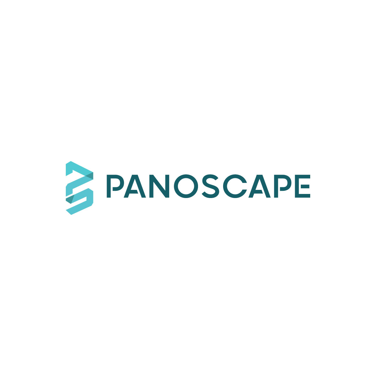 Logo Design by LAXMI DESIGNHUB for PanoScape  | Design #29865961
