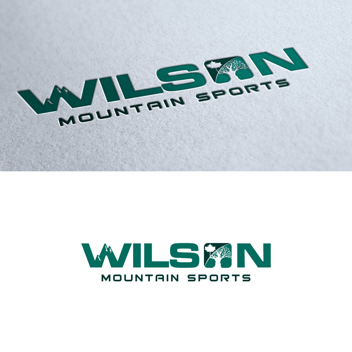 Logo Design by emaviolar7 for Wilson Mountain Sports | Design #29869469