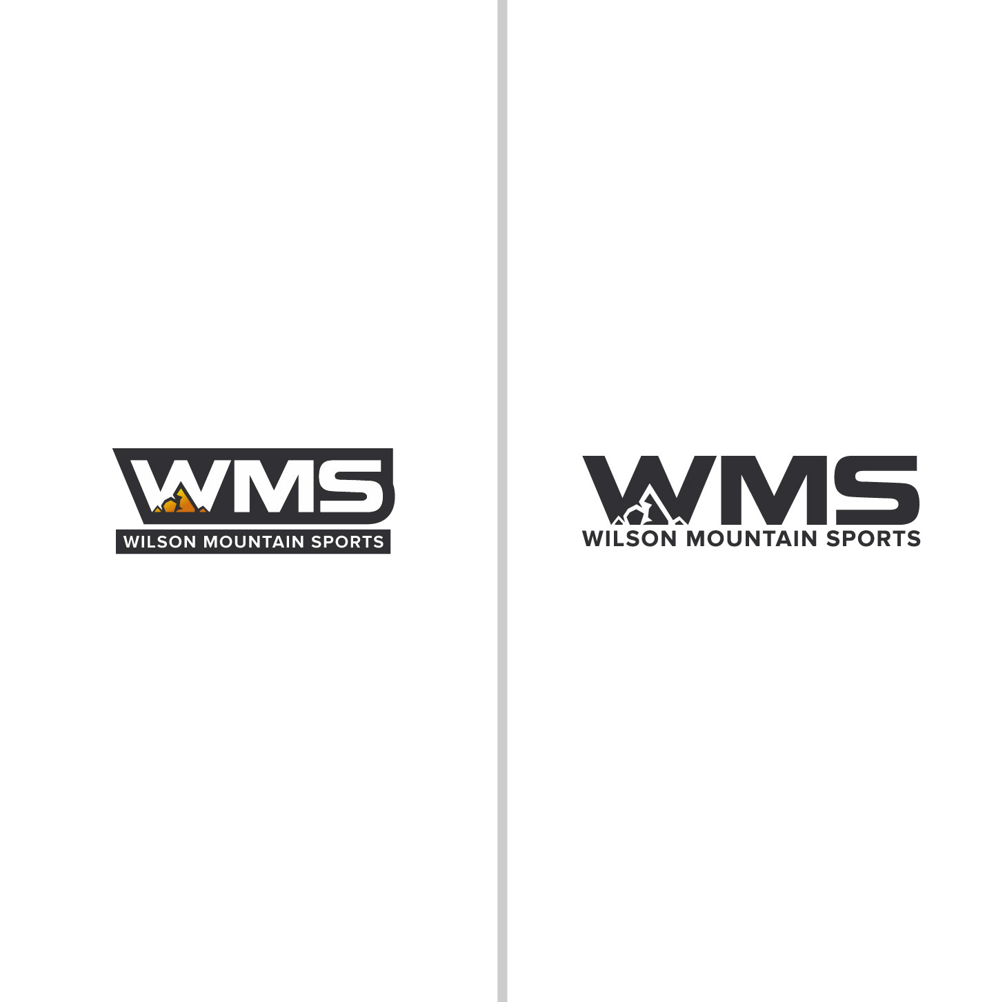 Logo Design by 4tech services for Wilson Mountain Sports | Design #29868197