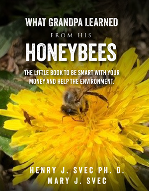 Diseño de portada de libro por Sarina.dsg para este proyecto | Diseño: #29867982