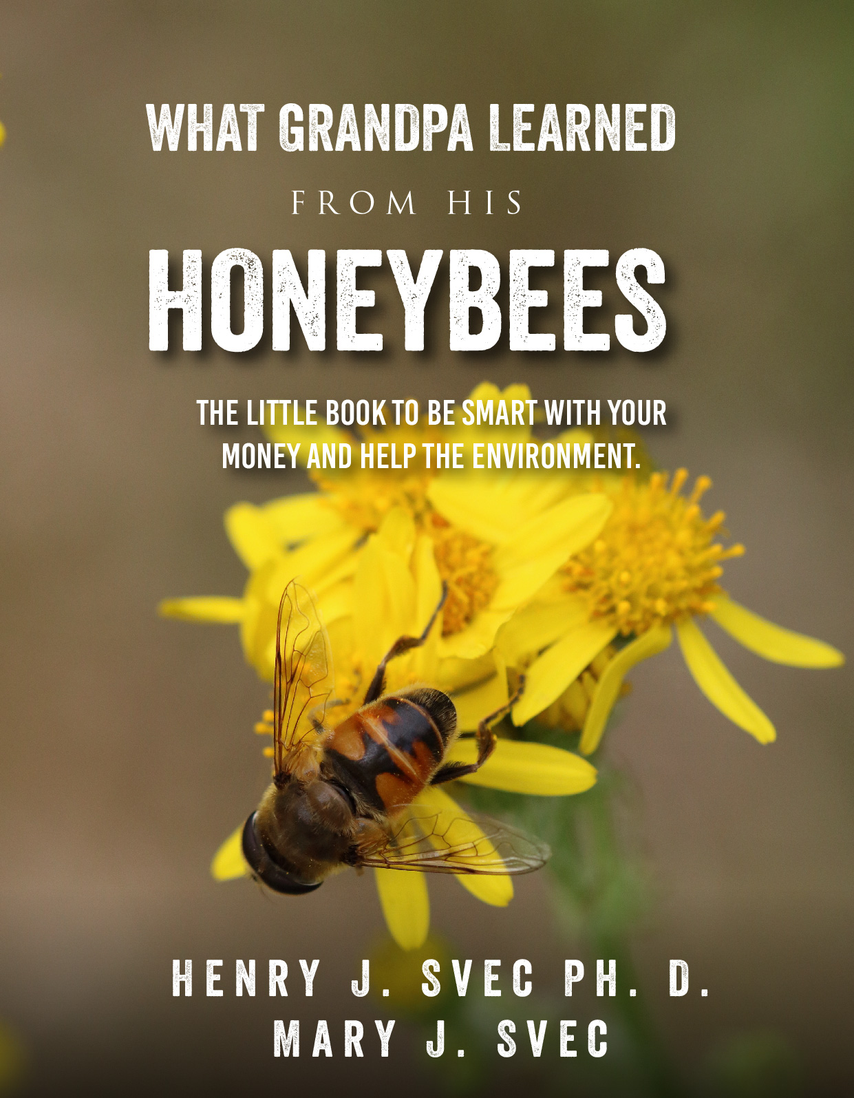 Book Cover Design by Sarina.dsg for this project | Design #29867983